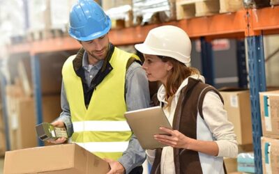 Logistics for Management Consultants – A Practical Guide