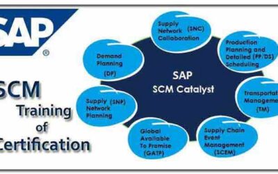 SAP: Supply Chain Logistics in R/3